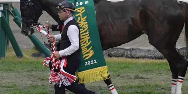 【富士ステークス2024予想】セリフォスに勝機あり!今度こそ宿敵ソウルラッシュに勝てるか?