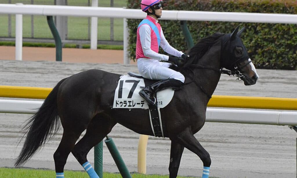 【東京大賞典2023】ドゥラエレーデは有馬記念回避、B.ムルザバエフ騎手とのコンビで東京大賞典へ