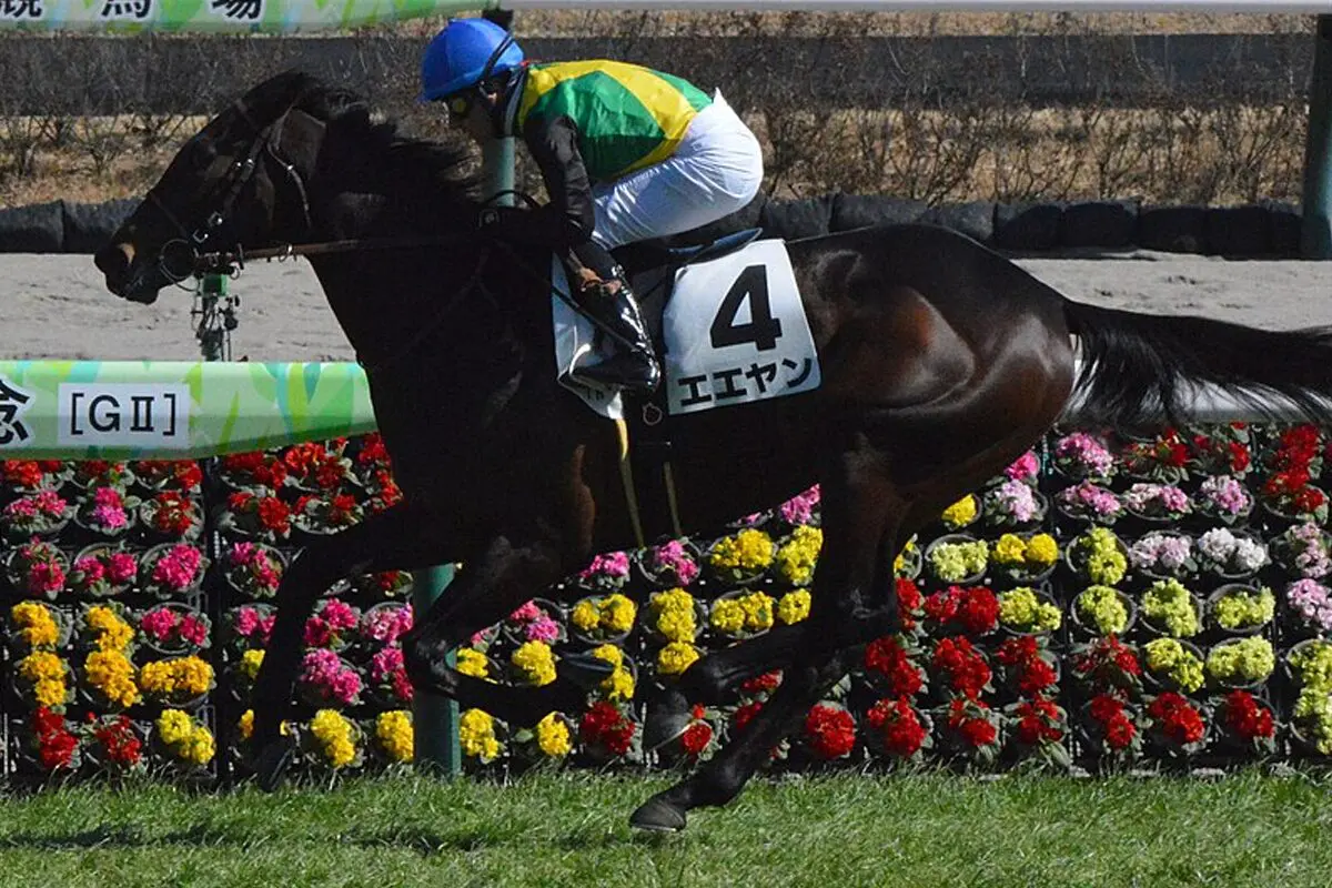 【阪神カップ2023予想】狙い目はエエヤン!阪神1400mは合う