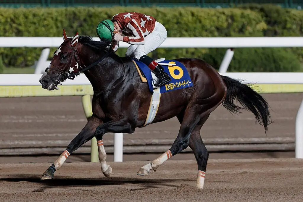 【勝島王冠2025予想】ミックファイア復活なるか?南関限定戦で再起を懸ける