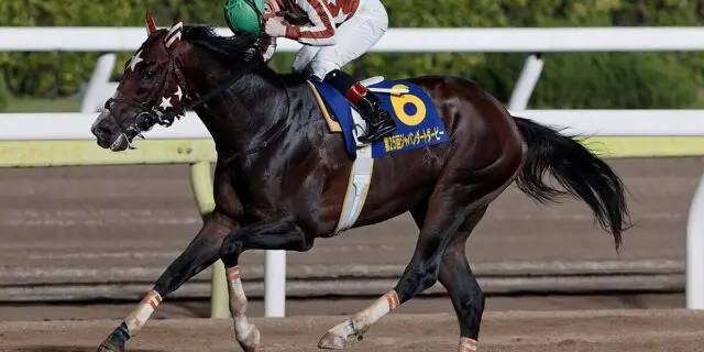 【勝島王冠2025予想】ミックファイア復活なるか?南関限定戦で再起を懸ける