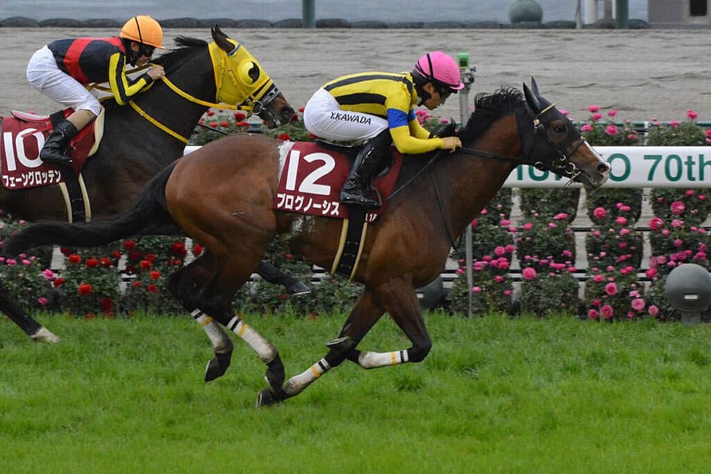 【香港カップ2023】プログノーシス✕川田将雅騎手、最終追い切り気配良好!大一番へ不安なし