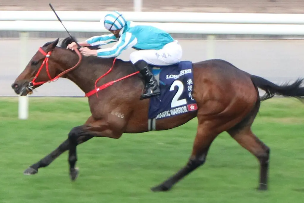 【安田記念2024予想】ロマンチックウォリアーに“恵みの雨”