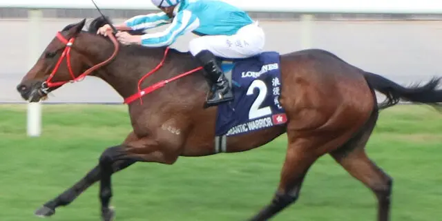 【安田記念2024予想】ロマンチックウォリアーに“恵みの雨”