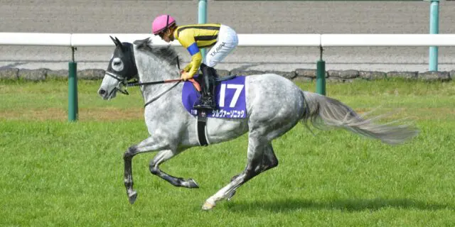 シルヴァーソニックが重度の繋靱帯炎で現役引退、今後は乗馬に