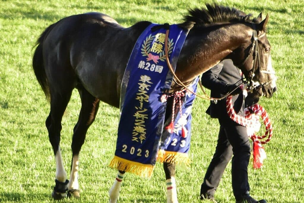 シュトラウスはCBC賞へ、初の1200m戦で復権へ