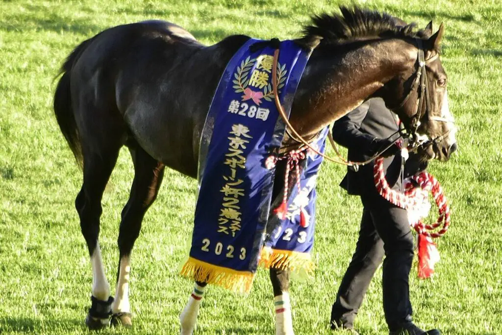 【朝日杯FS予想2023】シュトラウス、課題は“折り合い”