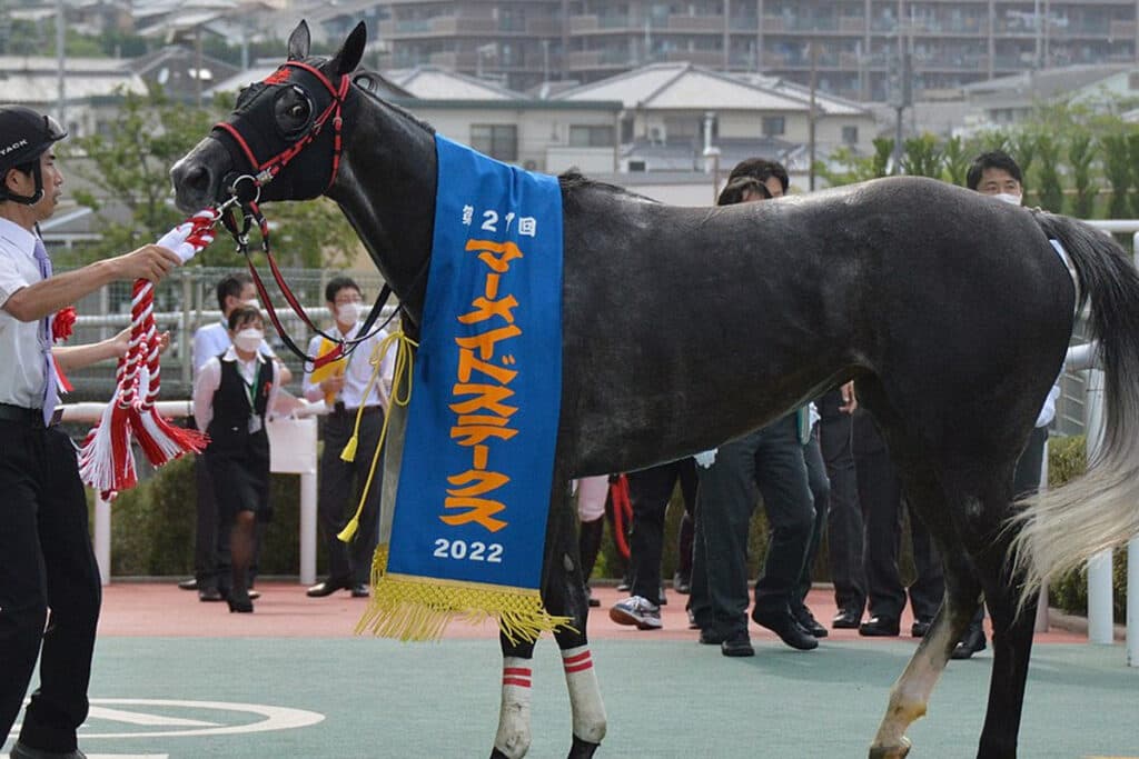 【JRA】中距離重賞戦線で活躍したウインマイティーが引退、繁殖入り