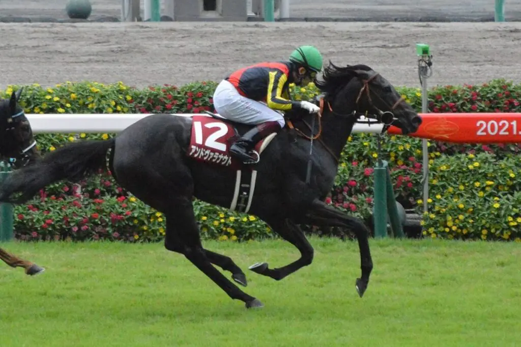 【JRA】アンドヴァラナウトが引退、繁殖入り
