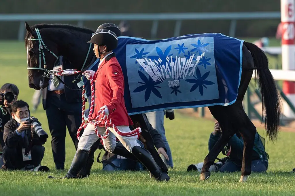 【JRA】アスコリピチェーノが仏G1ジャックルマロワ賞に登録