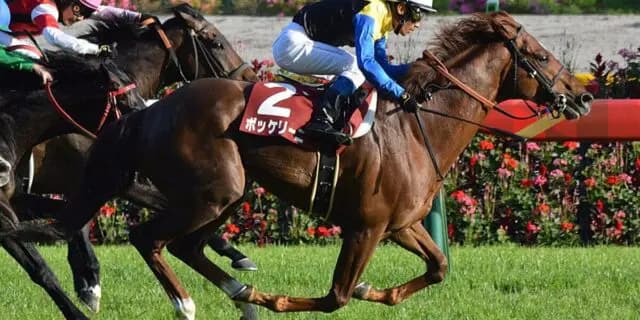 【アメリカJCC予想2024】8歳古豪のボッケリーニ、年齢の衰えはあるのか?