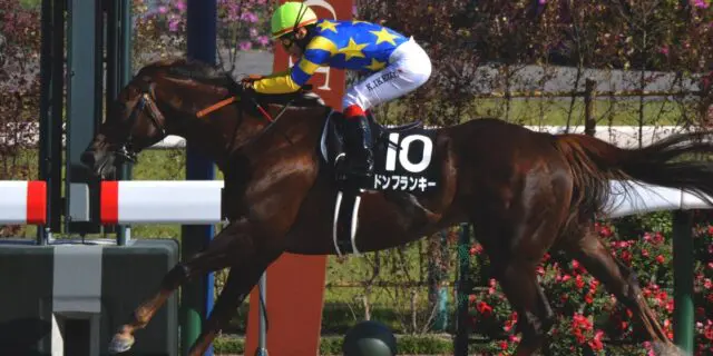 クラスターC制したドンフランキーは米G1・BCスプリントへ直行