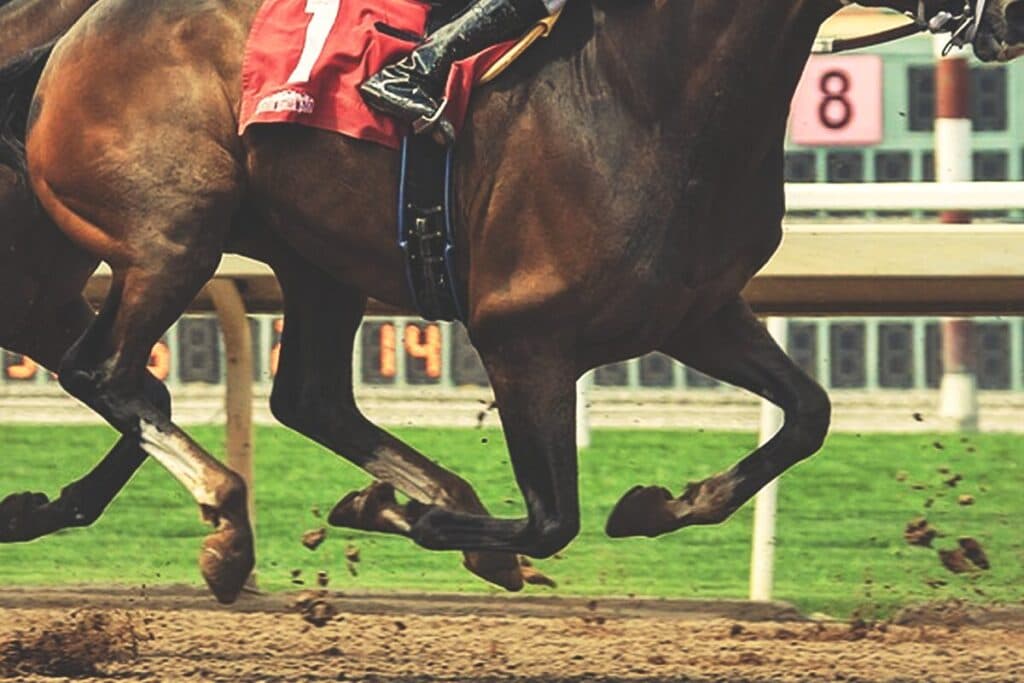 【神戸新聞杯2025予想】ジョバンニ1週前追い切りで自己ベスト更新!態勢万全の仕上がり