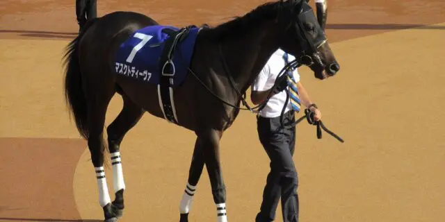 マスクトディーヴァが引退・繁殖入り、屈腱炎を発症したため