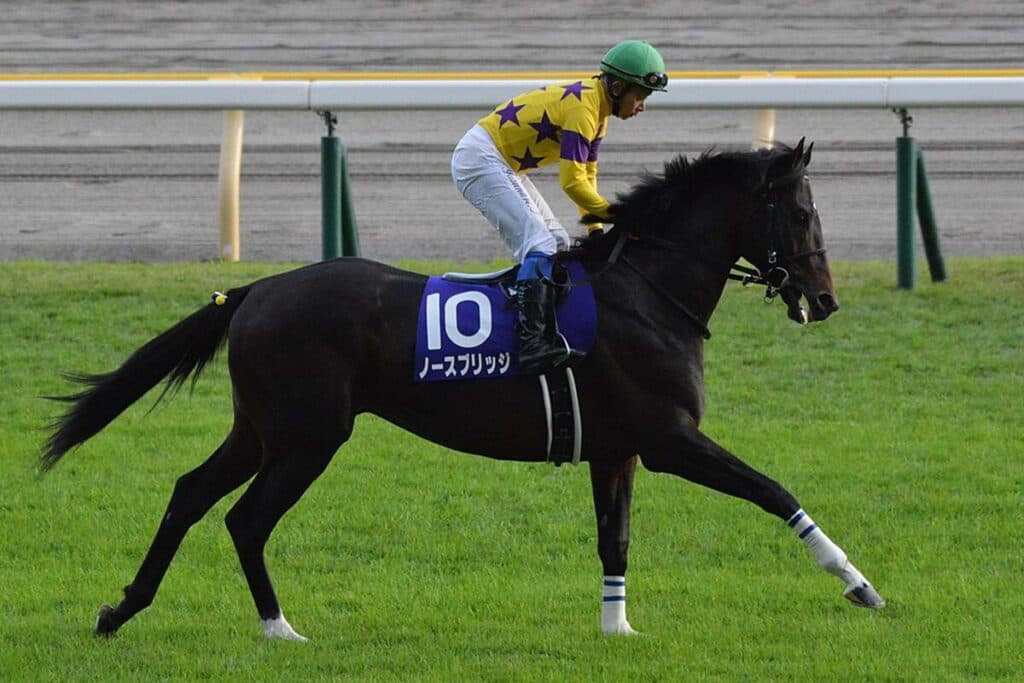 天皇賞秋・10着のノースブリッジ、次走はカタールG1のアミールトロフィー