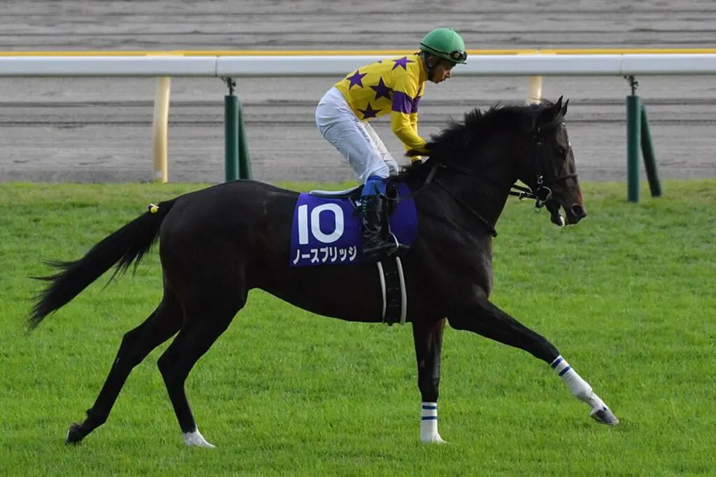 天皇賞秋・10着のノースブリッジ、次走はカタールG1のアミールトロフィー