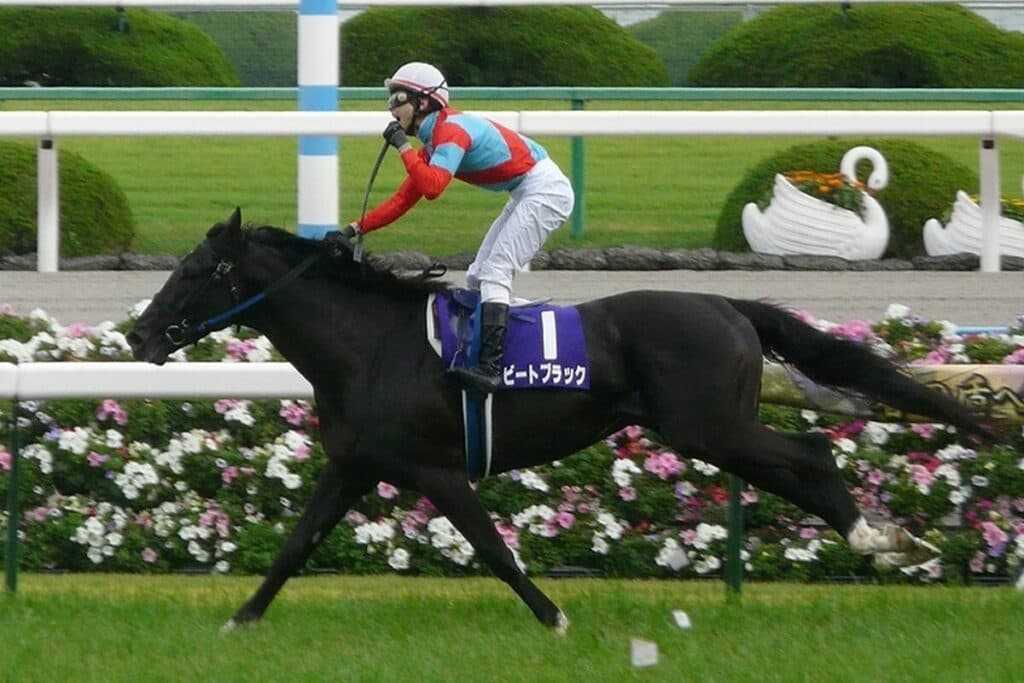 ビートブラック亡くなる、乗馬中に転倒し骨盤骨折