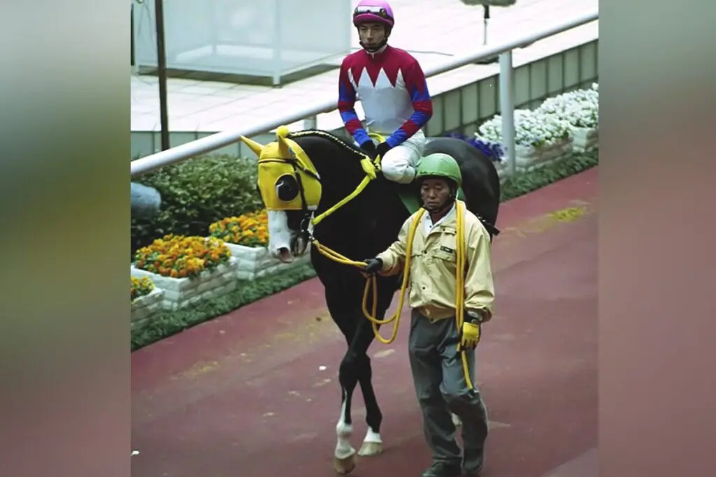 快速馬カルストンライトオが老衰で死亡