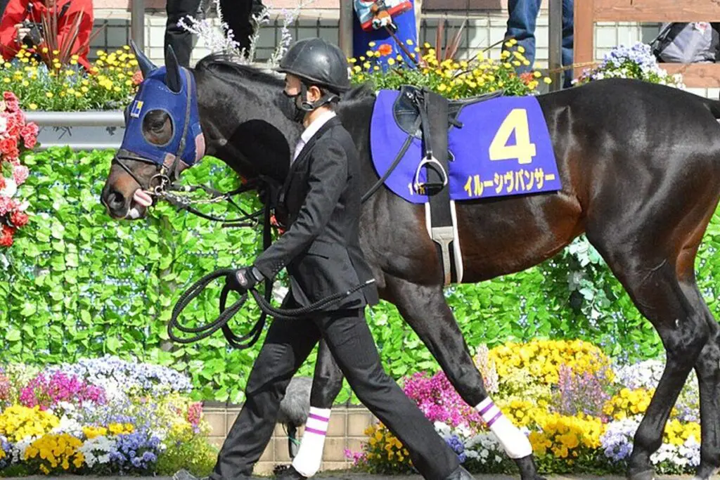 【中山記念2024予想】昨年8着のイルーシヴパンサー雪辱へ、1800mも問題なし