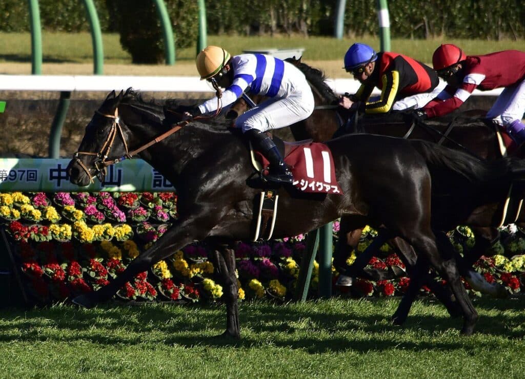 【中山記念2024予想】中山巧者のヒシイグアス、雨の道悪克服なるか?