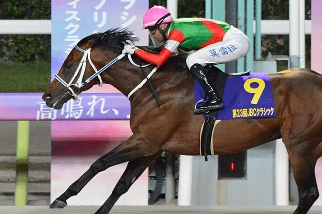 【JRA】キングズソードはマイルCS南部杯へ