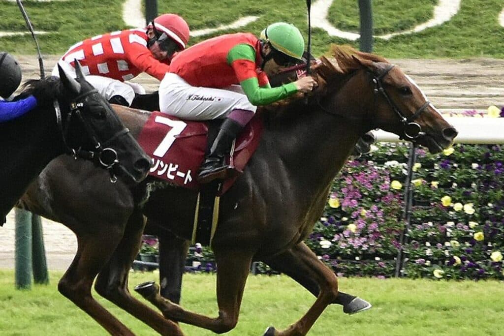 【フィリーズレビュー予想2024】能力上位のコラソンビート、“自分との闘い”に尽きる