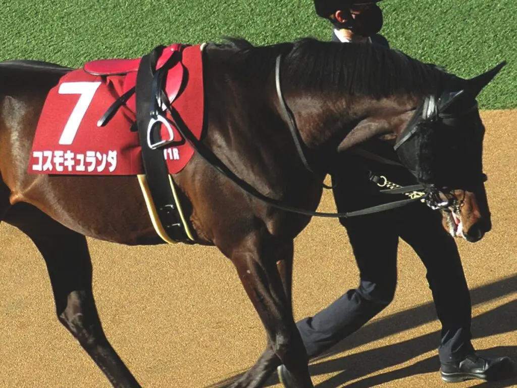 【皐月賞2024】弥生賞馬コスモキュランダ、J.モレイラ騎手とのコンビで参戦