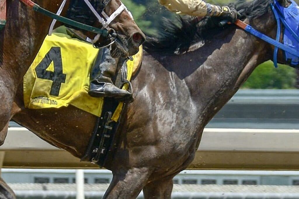 【春興ステークス予想2024】狙い目は好成績収める4歳馬か