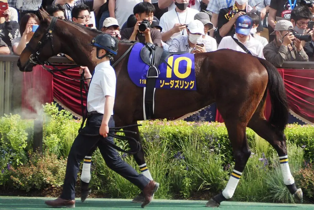 【高松宮記念2024予想】未知の魅力秘めたソーダズリング、群雄割拠のスプリント戦線新短距離王に名乗り
