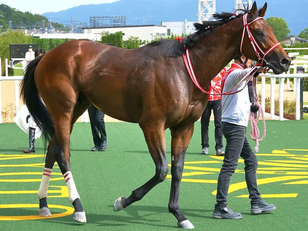 【日本テレビ盃2025】フォーエバーヤングが1週前追い切りで絶好の動き、休み明けでも“至極順調”