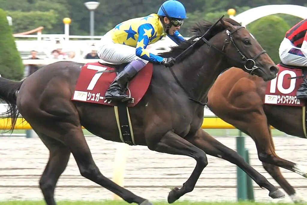 【日本ダービー2024】青葉賞Vのシュガークン、武豊騎手とのコンビでダービー参戦