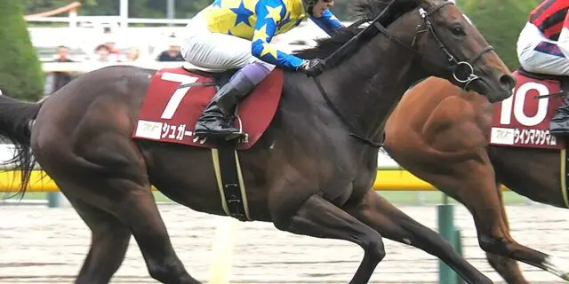 【日本ダービー2024】青葉賞Vのシュガークン、武豊騎手とのコンビでダービー参戦