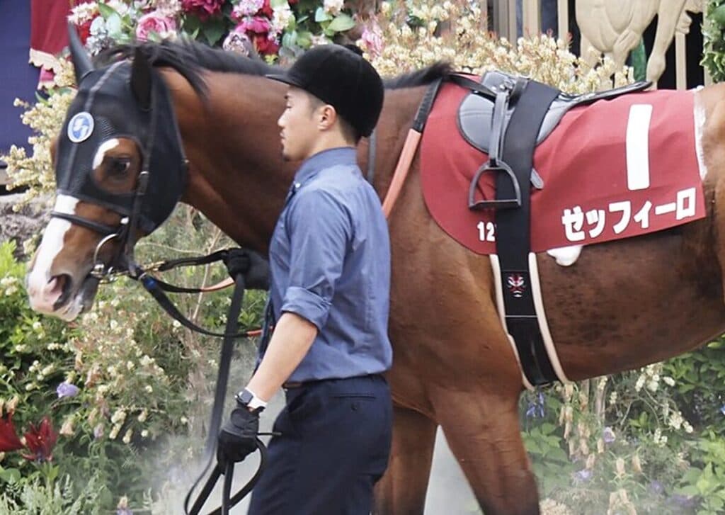 【JRA】ゼッフィーロが屈腱炎で現役引退