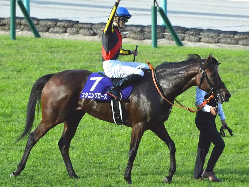 スタニングローズは有馬記念へ、香港ヴァーズは辞退