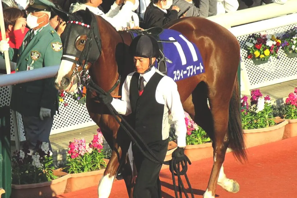 【オークス予想2024】スウィープフィート、最大の懸念は“使い詰め”?