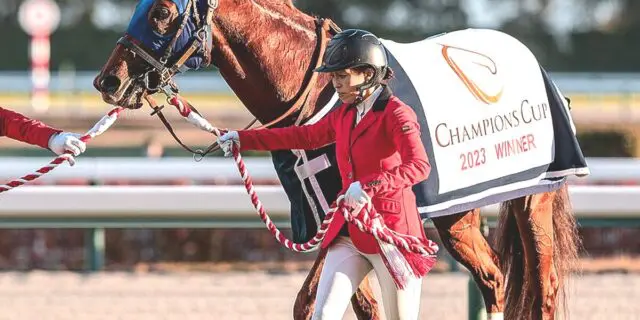 【JRA】レモンポップ産駒第1号が誕生!