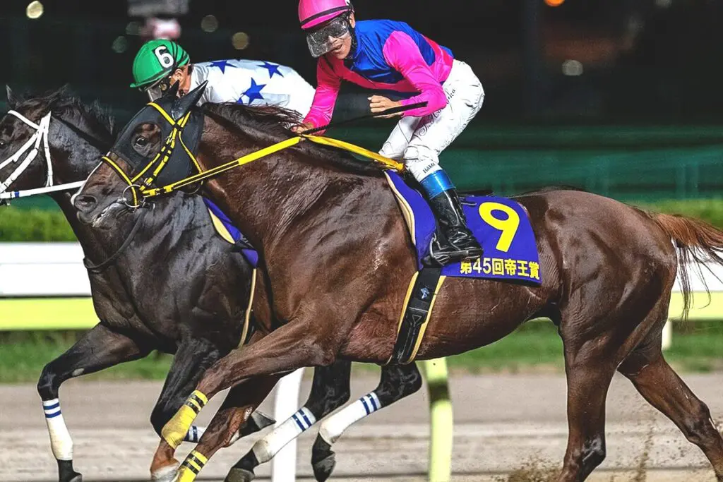 【JRA】メイショウハリオが現役引退、種牡馬入り