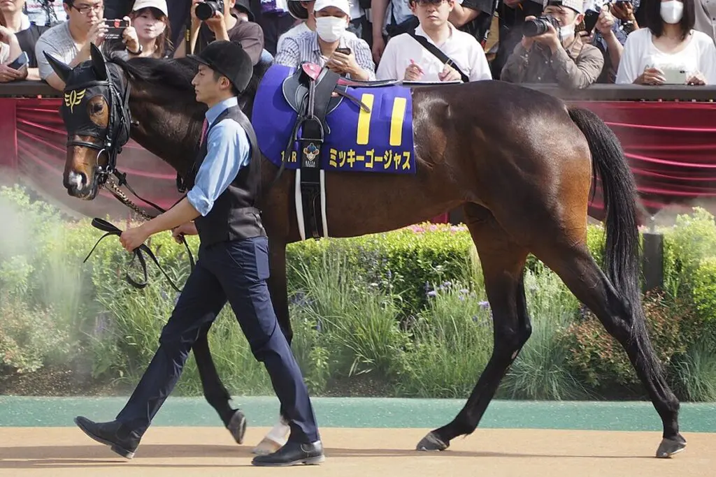 【マーメイドS予想2024】ミッキーゴージャス力上位、成長力にも期待