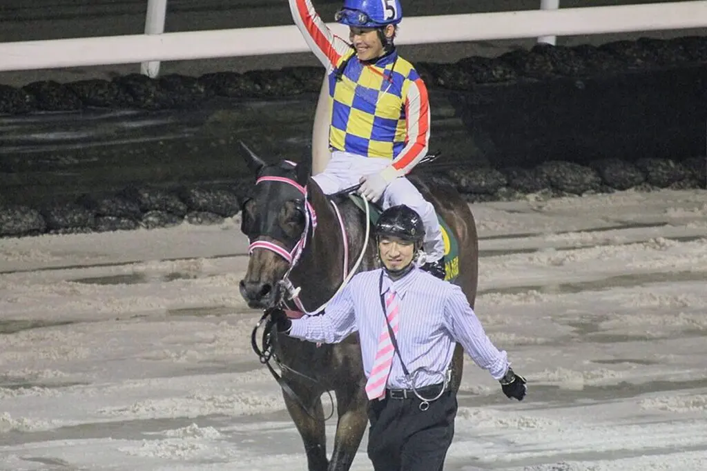 シャマルはマイルCS南部杯からJBCスプリントへ