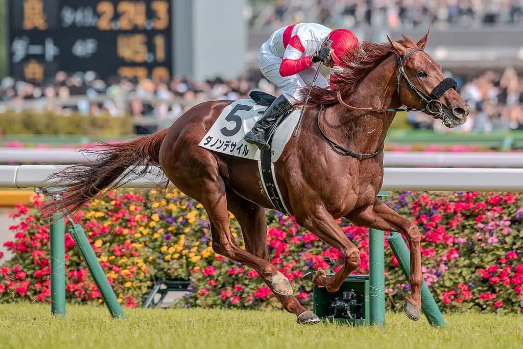 【JRA】ダノンデサイルは有馬記念へ、放馬トラブルも影響なし