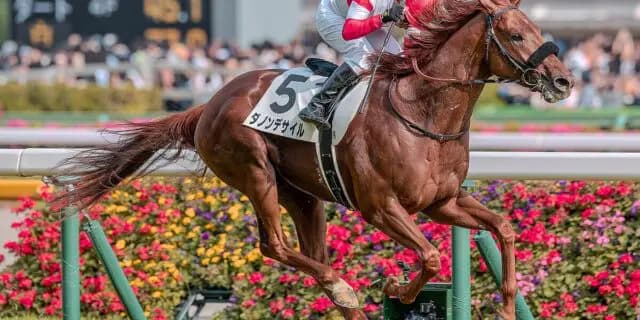 【JRA】ダノンデサイルは有馬記念へ、放馬トラブルも影響なし