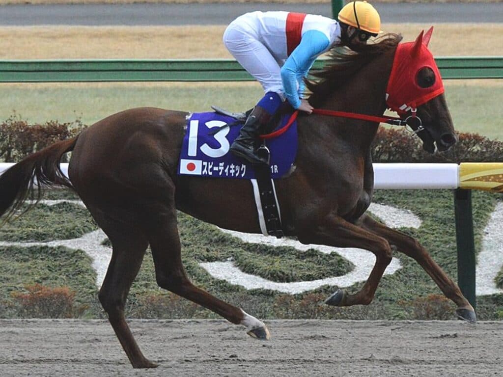 【スパーキングレディーC予想2024】南関東が誇る女傑・浦和のスピーディキックの雪辱Vに期待