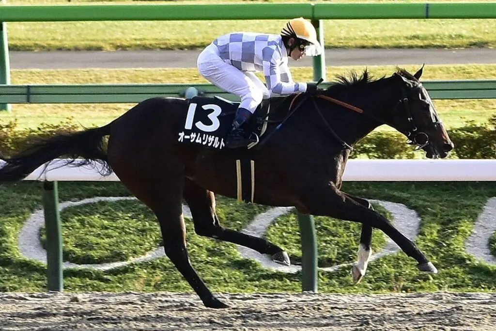 【クイーン賞2025予想】7連勝中のオーサムリザルト、仕切り直しの一戦で連勝継続なるか?