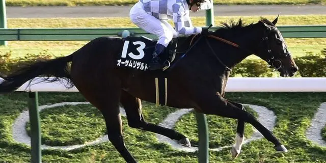 【JRA】オーサムリザルトが現役引退、今後はノーザンファームで繁殖入り