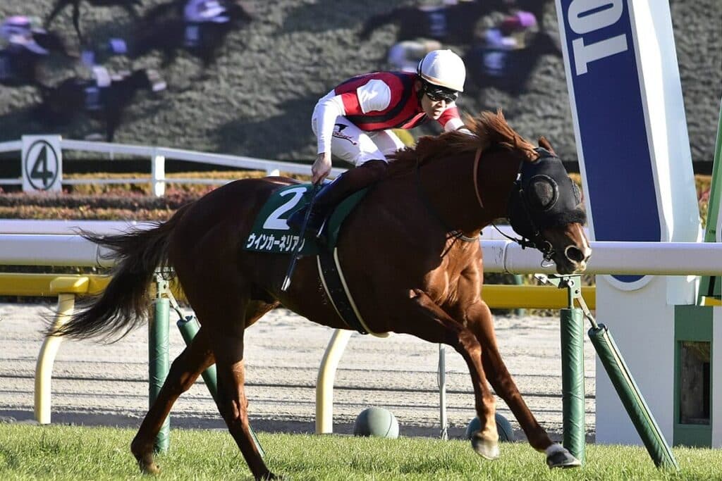 【スプリンターズS2024】ウインカーネリアンが歩様の乱れで回避、次走はスワンSへ