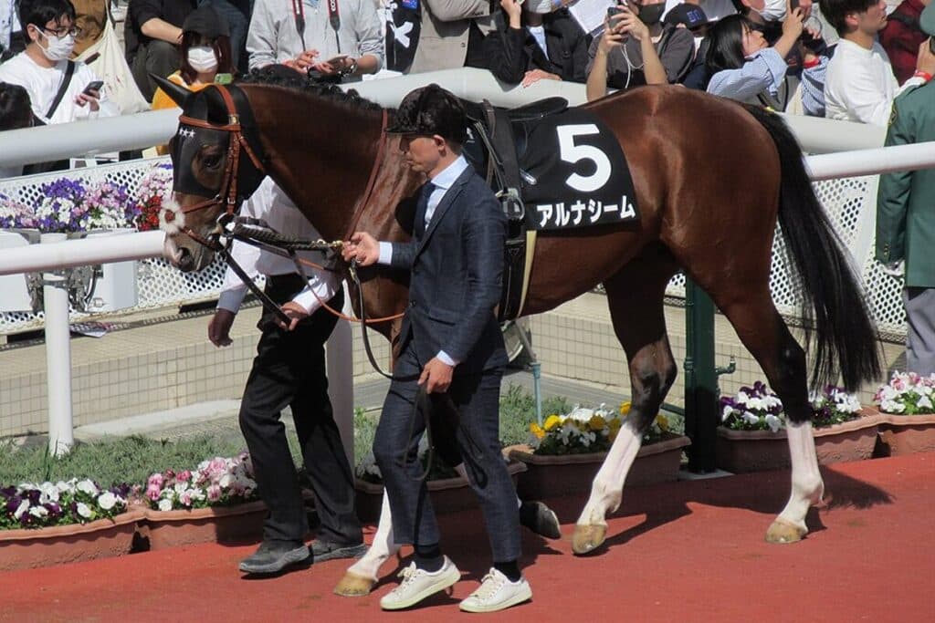 【富士ステークス予想2024】狙い目はアルナシーム、人気落ちの今はむしろ“買い”