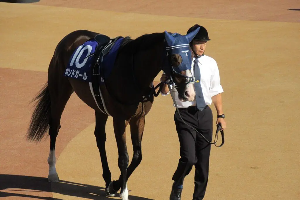 【JRAアイルランドT予想】涙の2着続きに終止符?!ボンドガール、悲願達成の瞬間迫る