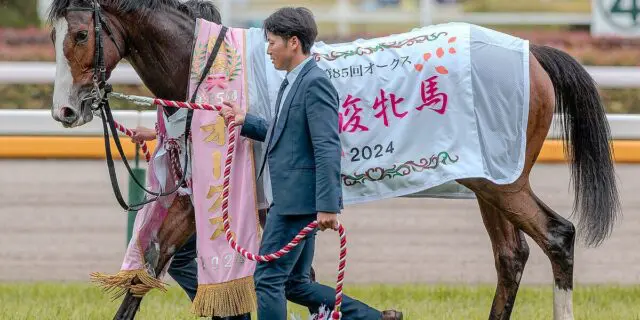 【マイルCS2025】チェルヴィニアはT.マーカンド騎手との新コンビで参戦