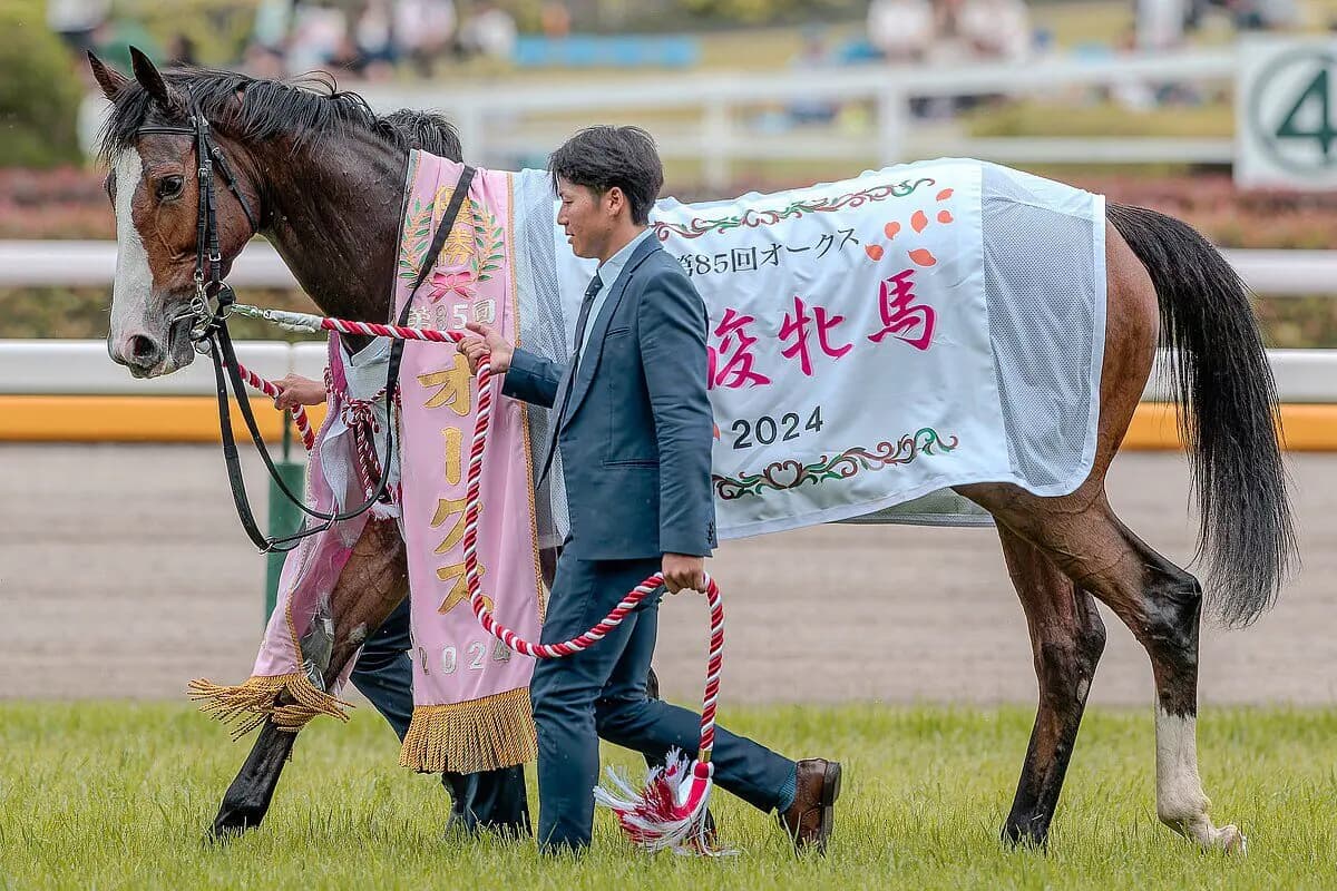 秋華賞制したチェルヴィニア、次走はジャパンC