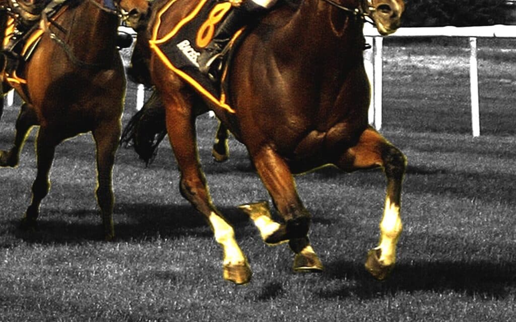 【京阪杯2024予想】来年のスプリント路線を占う一戦!ウインカーネリアンやエイシンスポッターなど出走予定馬を考察